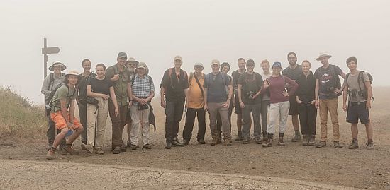 Group in the Teno mist