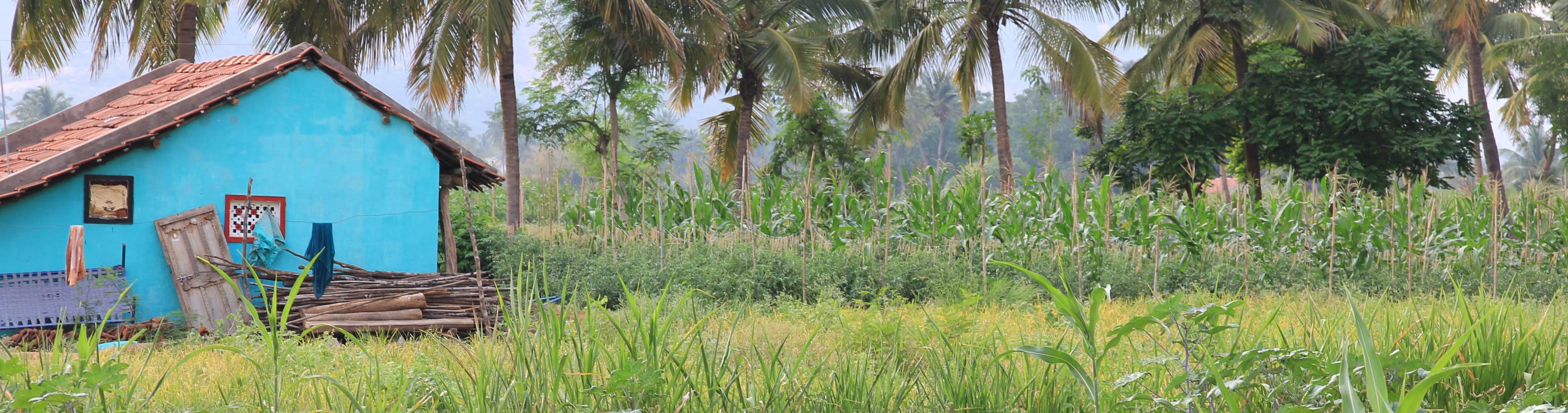 biodiversity