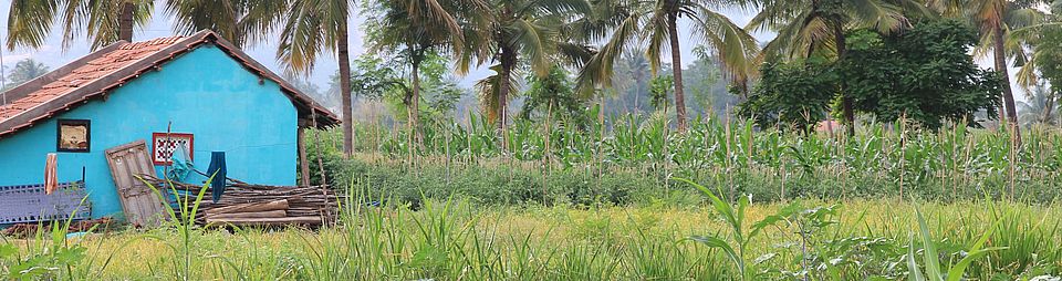 biodiversity