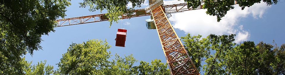 swiss canopy crane hölstein